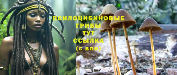 PSILOCYBIN Новодвинск