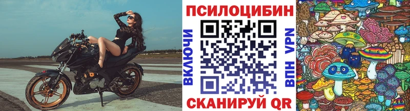 Псилоцибиновые грибы Magic Shrooms  blacksprut ONION  Севск 